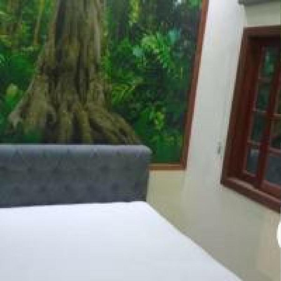 Casa Em Milagres Villa São Miguel dos Milagres Dış mekan fotoğraf