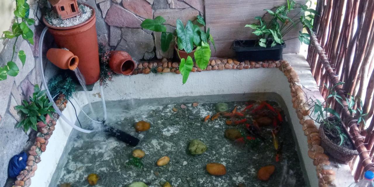 Casa Em Milagres Villa São Miguel dos Milagres Dış mekan fotoğraf